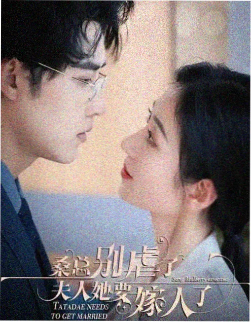 OK影视推理剧《双城谜案》封面